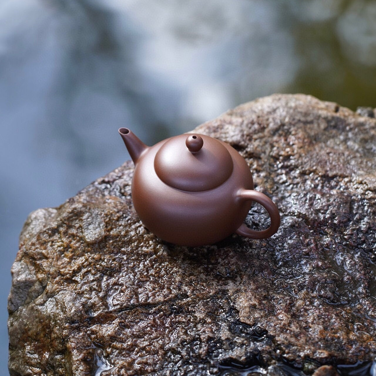 Zhu Hua Shui Ping 180cc - Yixing Handmade Teapot 江苏宜兴