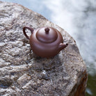 Zhu Hua Shui Ping 180cc - Yixing Handmade Teapot 江苏宜兴