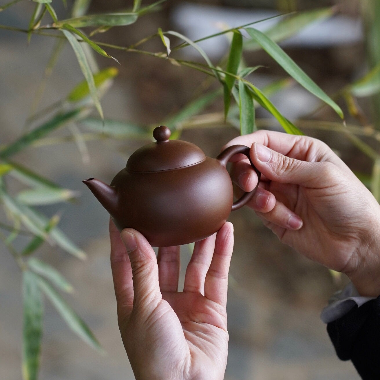 Zhu Hua Shui Ping 180cc - Yixing Handmade Teapot 江苏宜兴