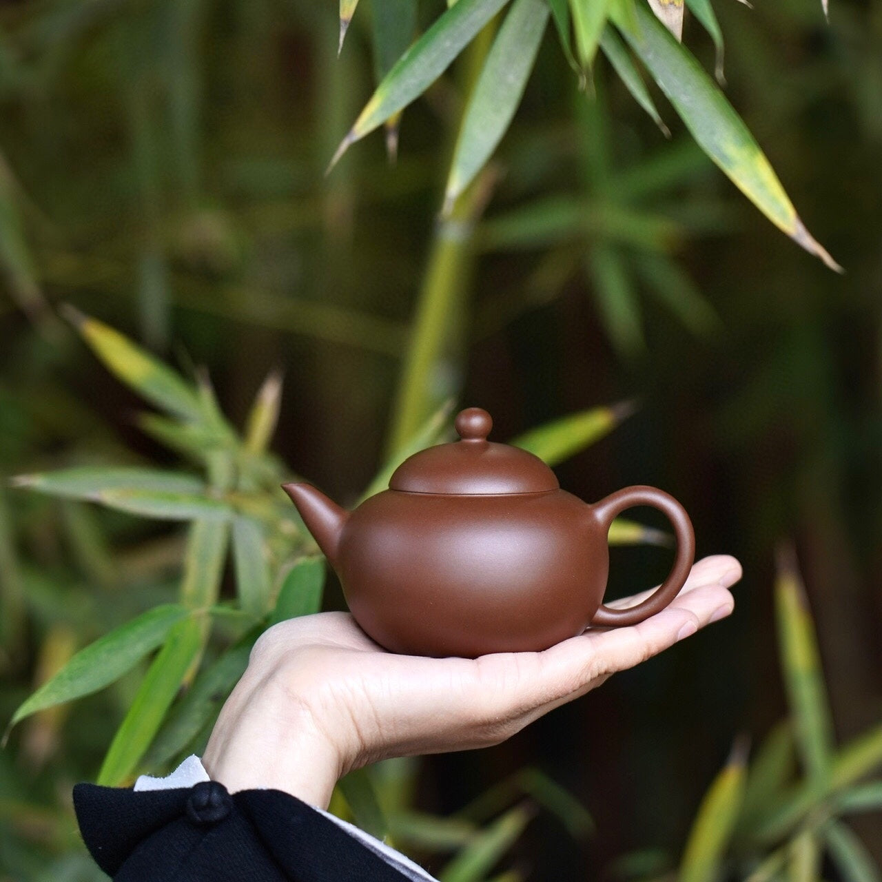 Zhu Hua Shui Ping 180cc - Yixing Handmade Teapot 江苏宜兴