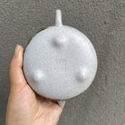 Han Tang Shi Piao - Yixing Handmade Teapot 江苏宜兴
