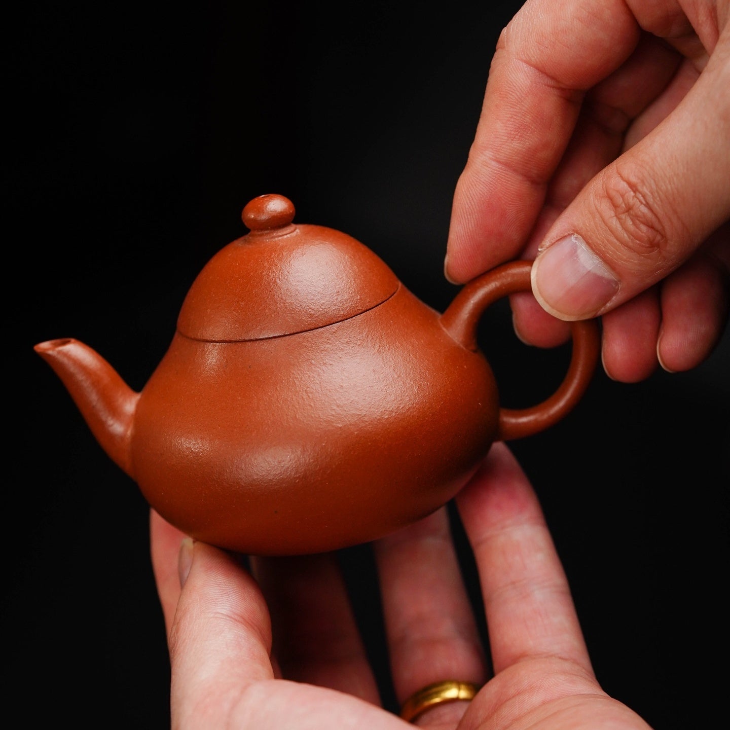 Li Shi 120cc - Yixing Handmade Teapot.