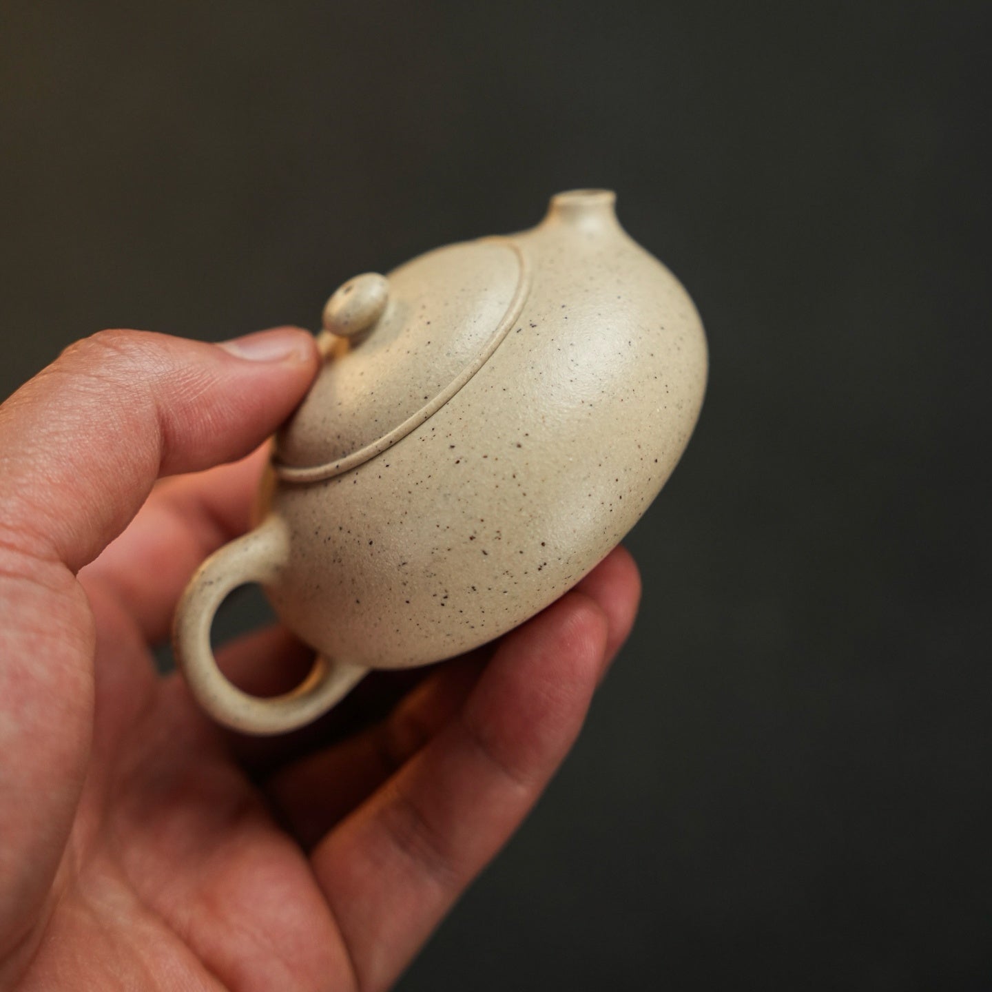 Xiao Xiao Xi Shi 80cc - Yixing Handmade Teapot.