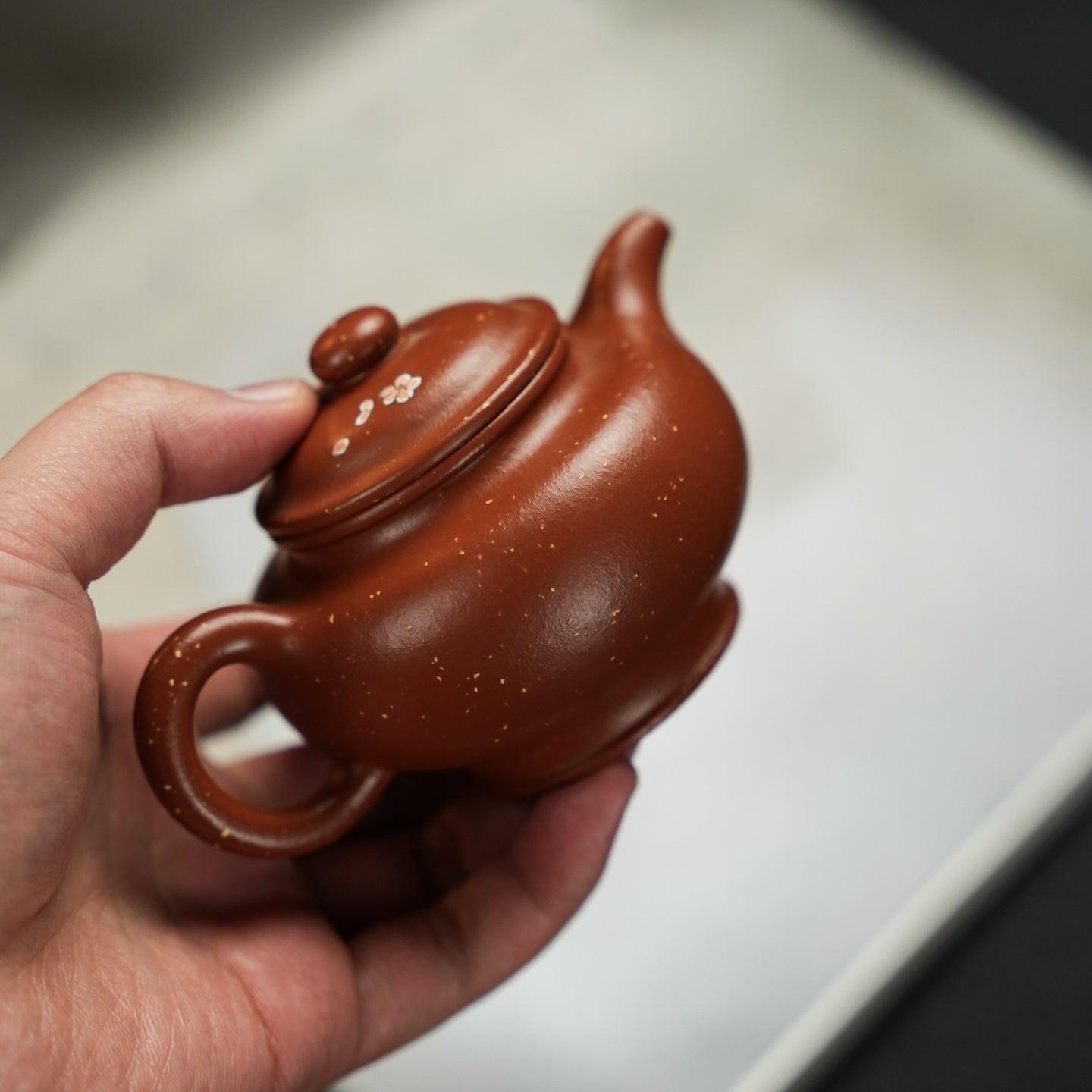 Duo Zhi 160cc - Yixing Handmade Teapot.