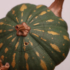 Gua Yu 165cc - Yixing Handmade Teapot.