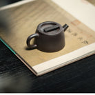 Shi Jian Zhi Xi 100cc - Yixing Handmade Teapot 江苏宜兴