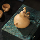 Piao Chong Set - Yixing Handmade Teapot 江苏宜兴