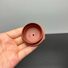 Song Bao Chun 200cc - Yixing Handmade Teapot 江苏宜兴