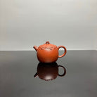 Shi Lai Yun Zhuan 190cc - Yixing Handmade Teapot 江苏宜兴
