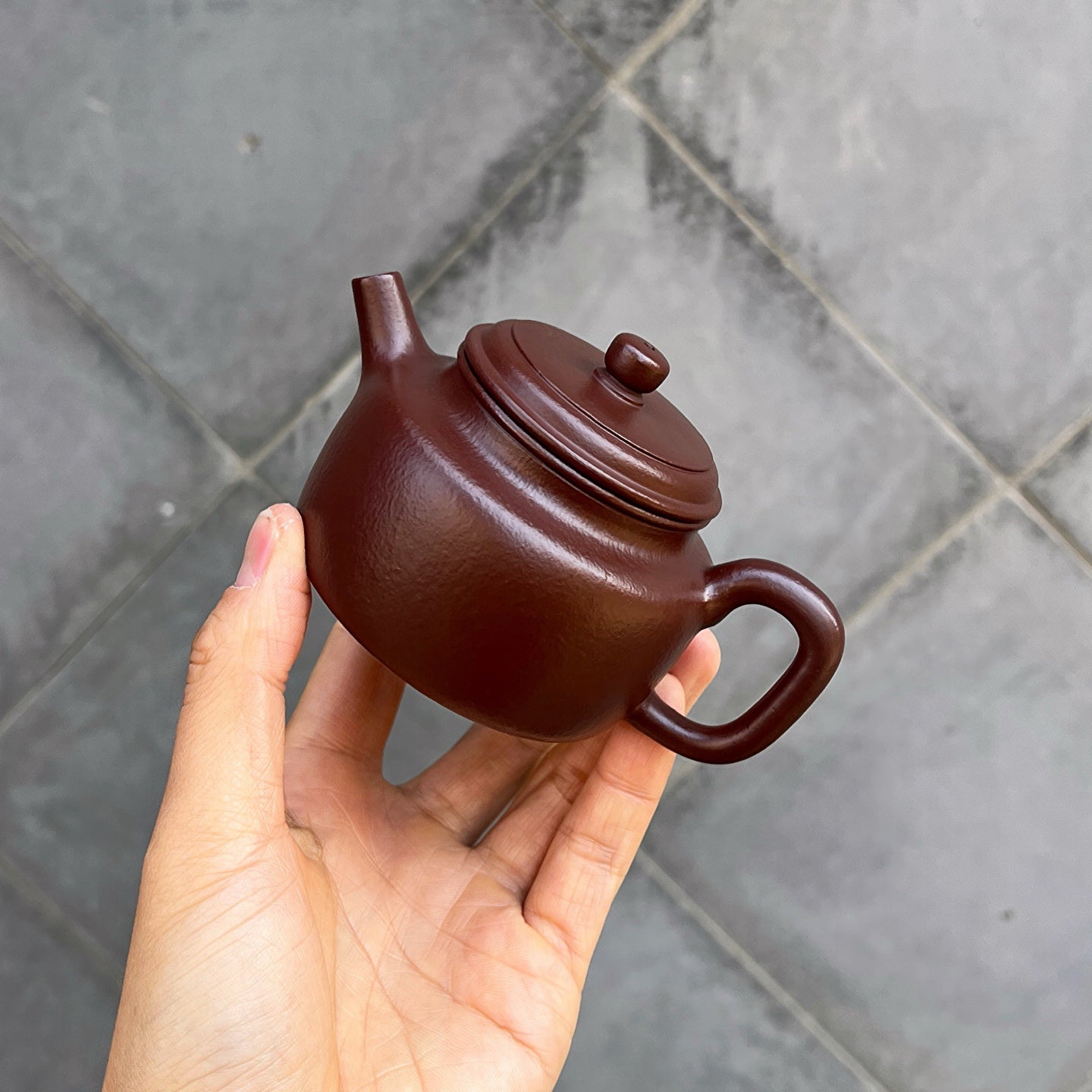 De Zhong 160cc - Yixing Handmade Teapot 江苏宜兴