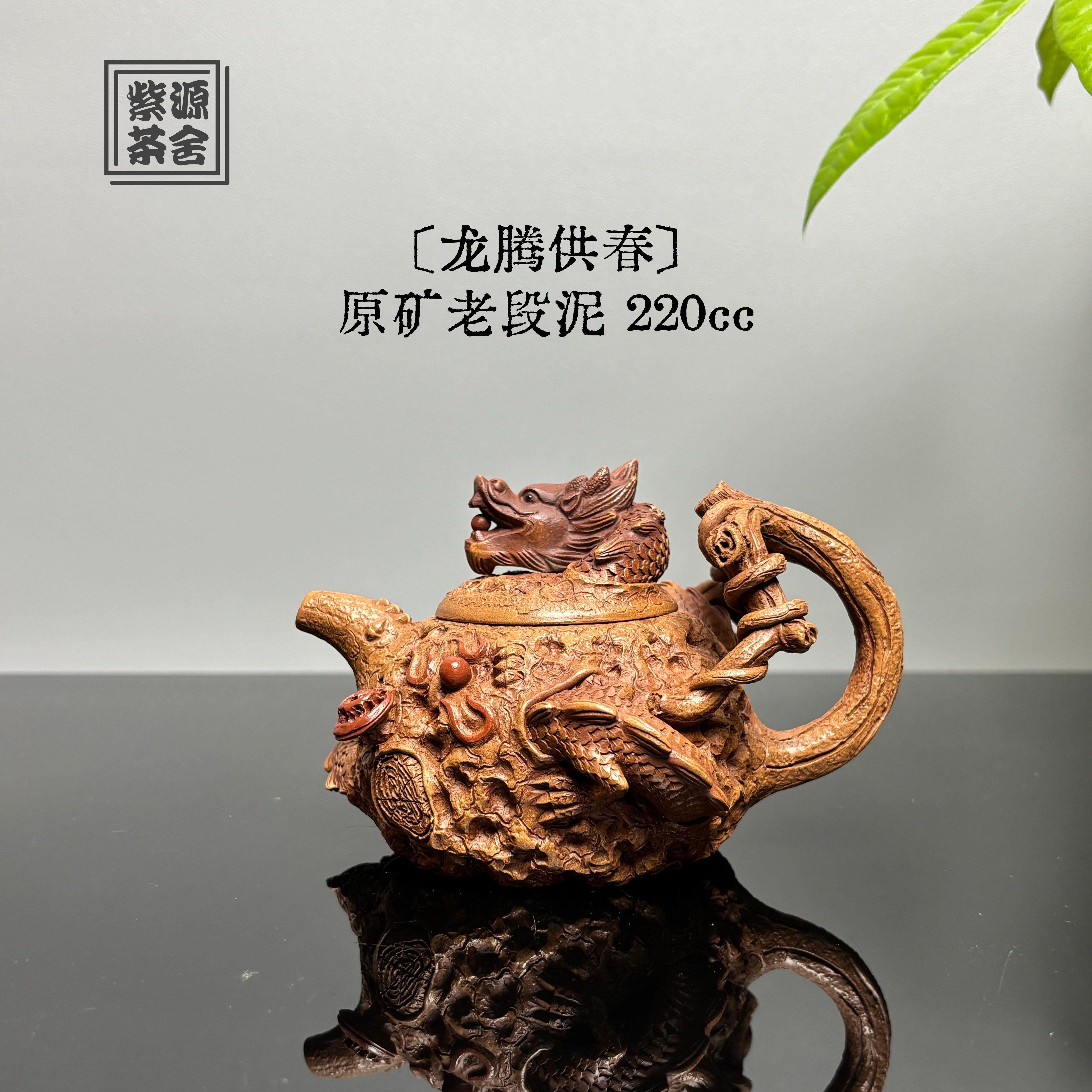 Long Teng Gong Chun 220cc - Yixing Handmade Teapot zycschina
