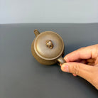Tai Hu Shi Qu 120cc - Yixing Handmade Teapot 江苏宜兴