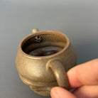 Tai Hu Shi Qu 120cc - Yixing Handmade Teapot 江苏宜兴