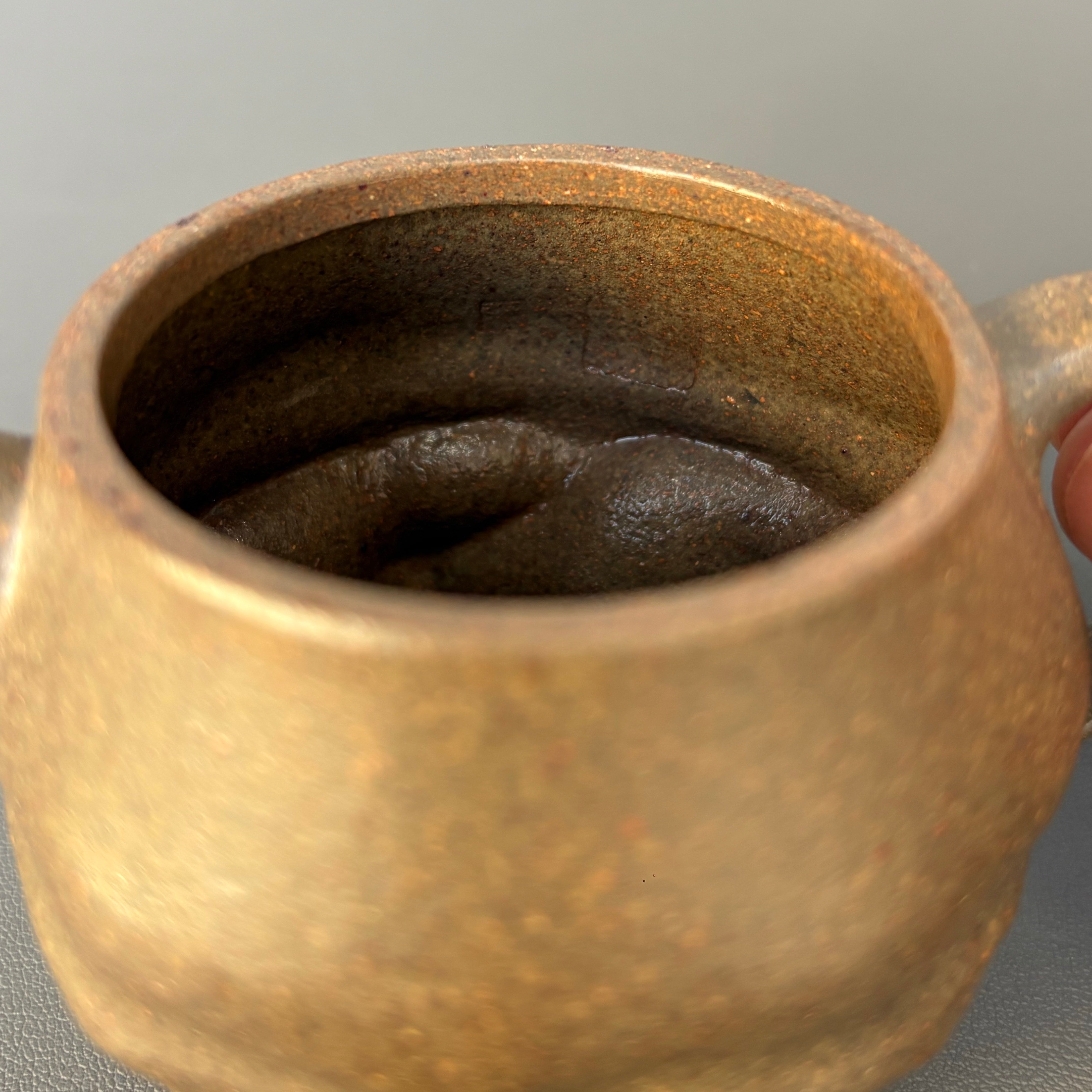 Tai Hu Shi Qu 120cc - Yixing Handmade Teapot 江苏宜兴