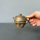 Tai Hu Shi Qu 120cc - Yixing Handmade Teapot 江苏宜兴