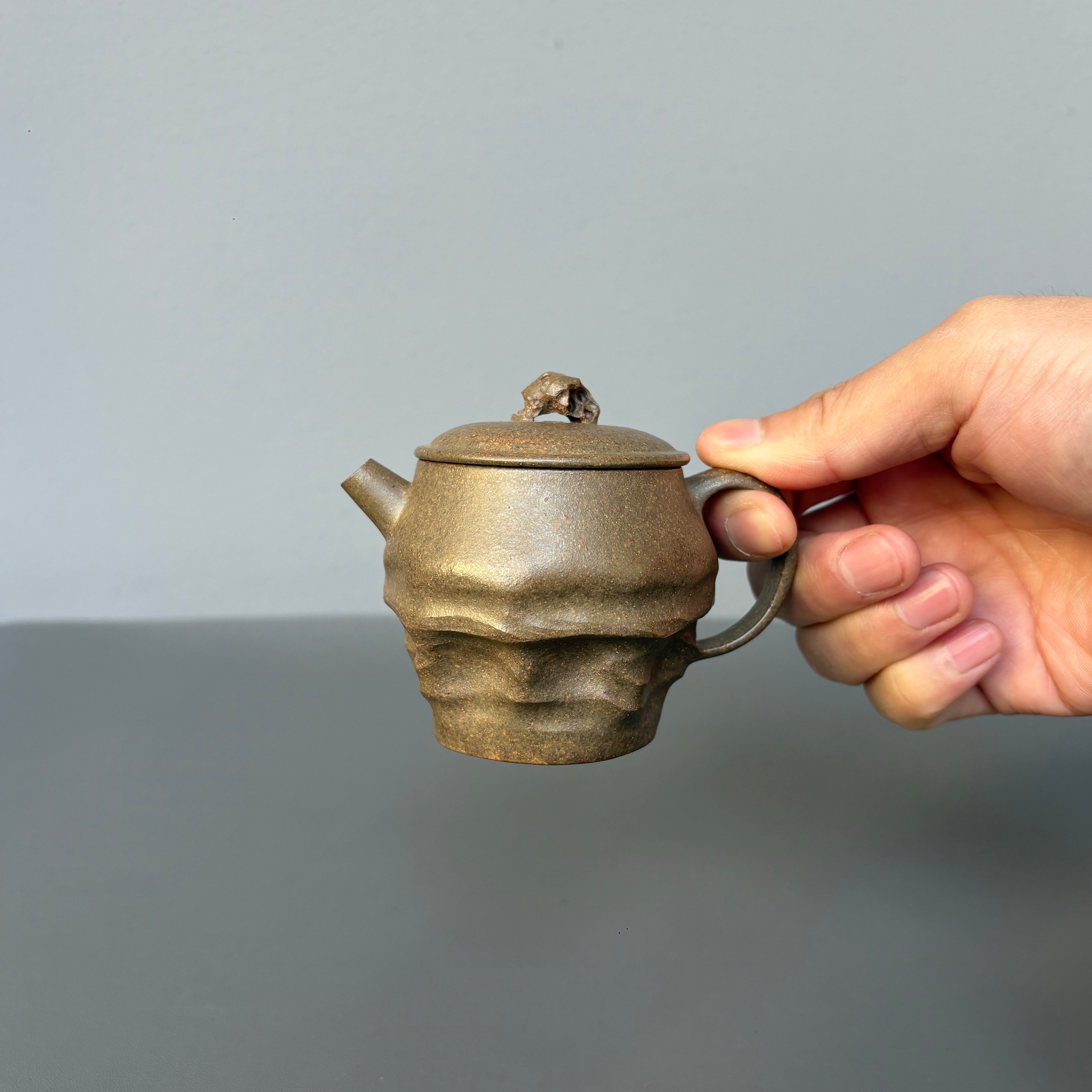 Tai Hu Shi Qu 120cc - Yixing Handmade Teapot 江苏宜兴