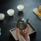 Long Dan 100cc - Yixing Handmade Teapot 江苏宜兴