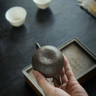 Long Dan 100cc - Yixing Handmade Teapot 江苏宜兴