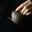 Long Dan 100cc - Yixing Handmade Teapot 江苏宜兴
