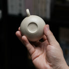 Bian Xi Shi 110cc - Yixing Handmade Teapot 江苏宜兴