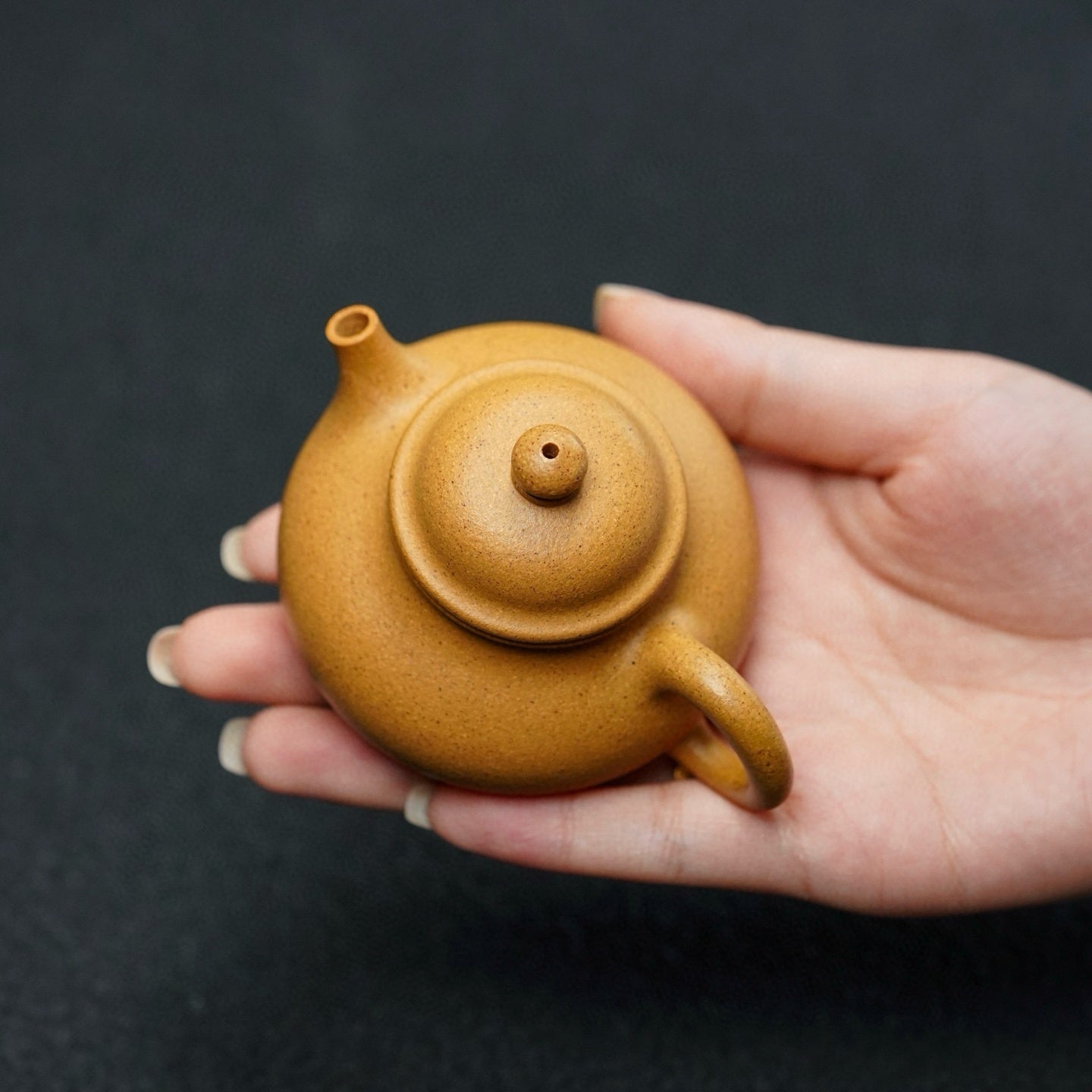 Rong Tian 90cc - Yixing Handmade Teapot 江苏宜兴