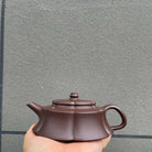 Wu Ji 180cc - Yixing Handmade Teapot 江苏宜兴