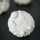 Xiao Yang - Yixing Zisha Handmade Teapet 江苏宜兴