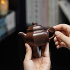 Xiao Lian Zi 118cc - Yixing Handmade Teapot 江苏宜兴