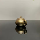 Xi Shi 130cc - Yixing Handmade Teapot 江苏宜兴