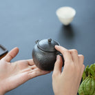 Shou Zhu Hu 150cc - Yixing Handmade Teapot 江苏宜兴