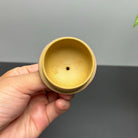 Man Bu Ren Sheng 200cc - Yixing Handmade Teapot 江苏宜兴