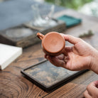 Han Wa 100cc - Yixing Handmade Teapot 江苏宜兴