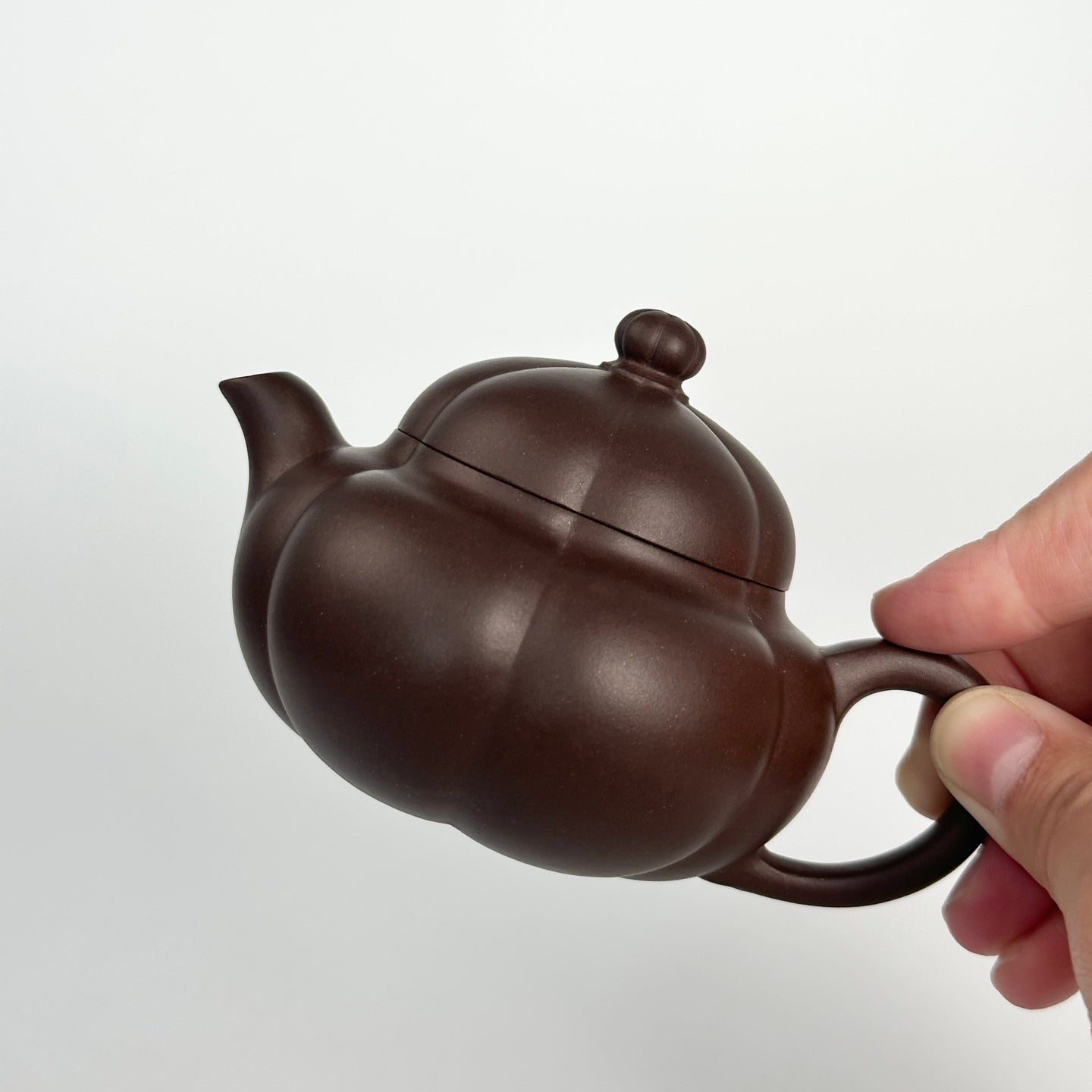 Ling Hua 125cc - Yixing Handmade Teapot 江苏宜兴