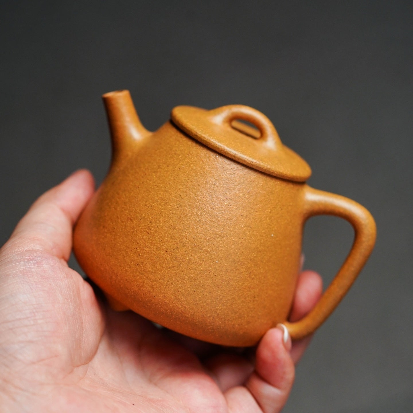 Gao Shi Piao 100/170cc - Yixing Handmade Teapot 江苏宜兴