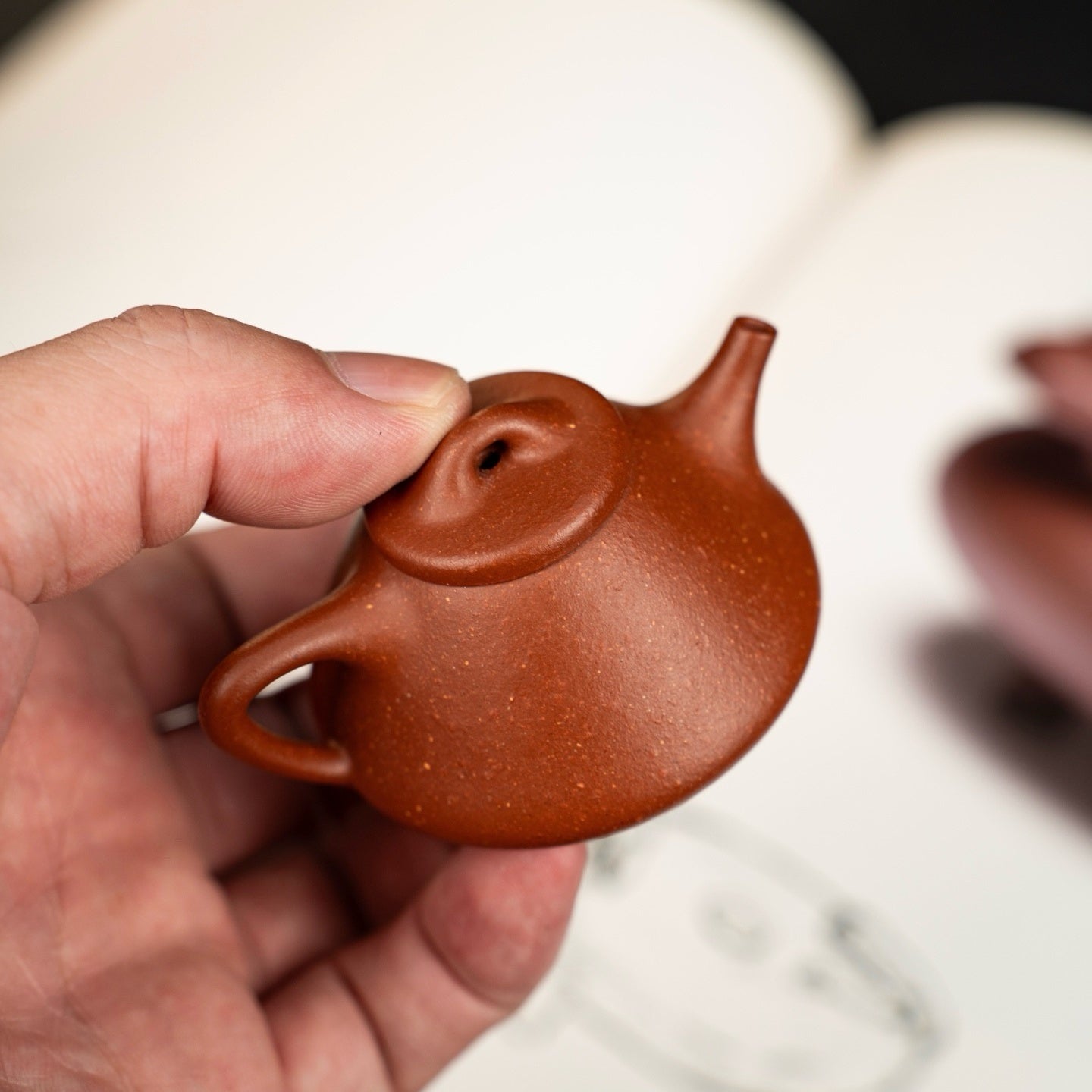 Zi Ye Shi Piao 35cc - Yixing Handmade Teapot 江苏宜兴