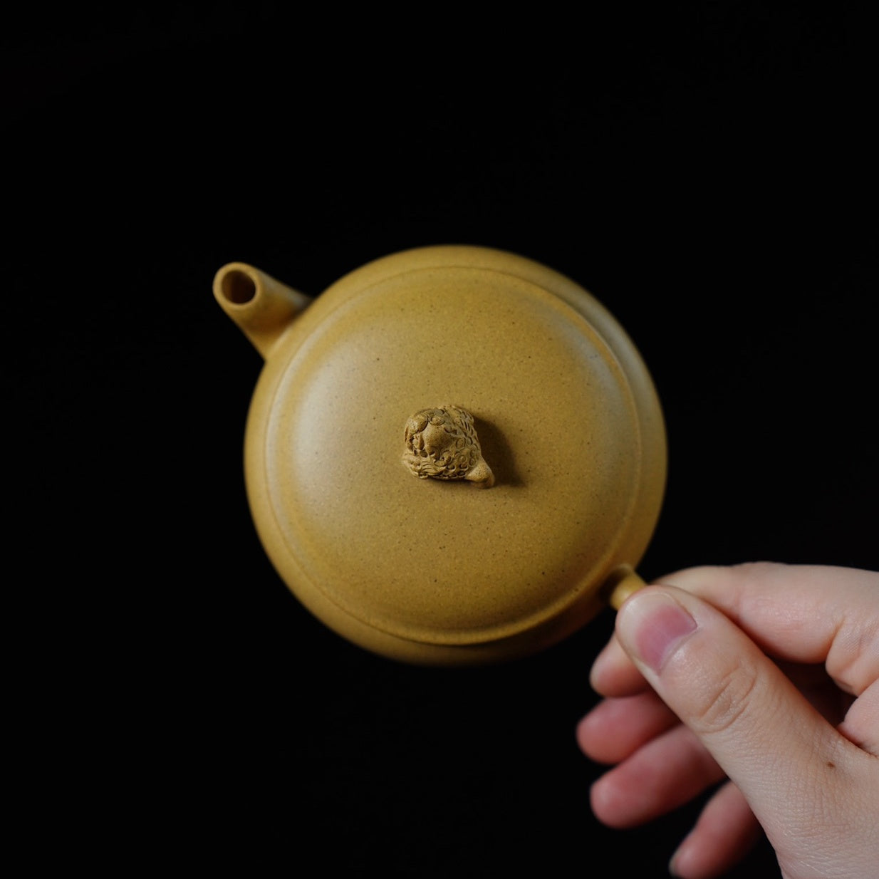 Bao Yuan 140cc - Yixing Handmade Teapot 江苏宜兴