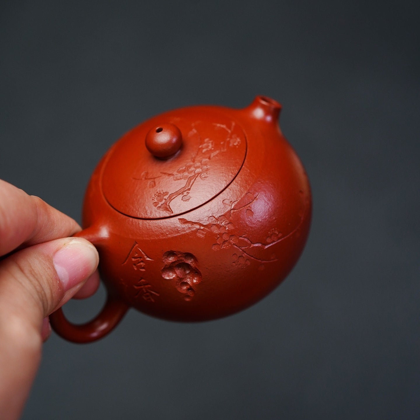 Xi Shi 80cc - Yixing Handmade Teapot 江苏宜兴