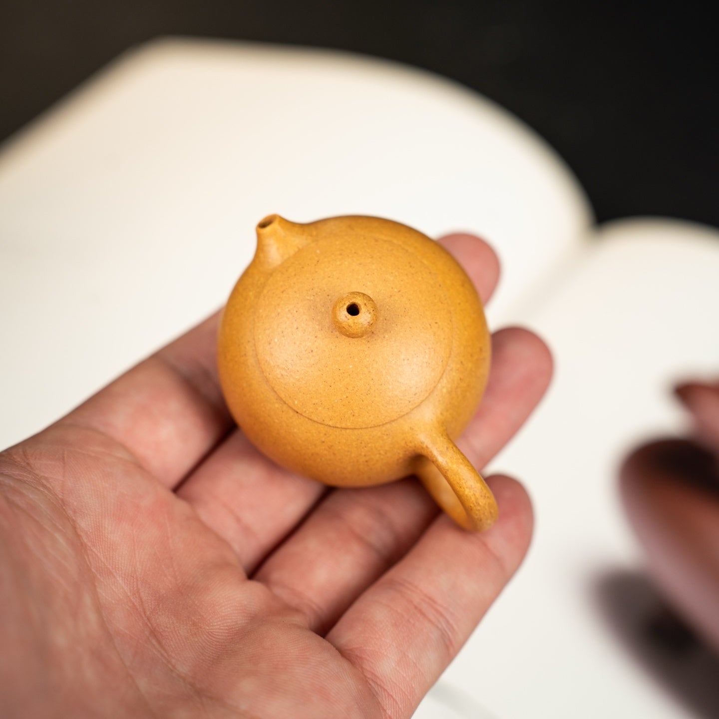Xi Shi 35cc - Yixing Handmade Teapot 江苏宜兴