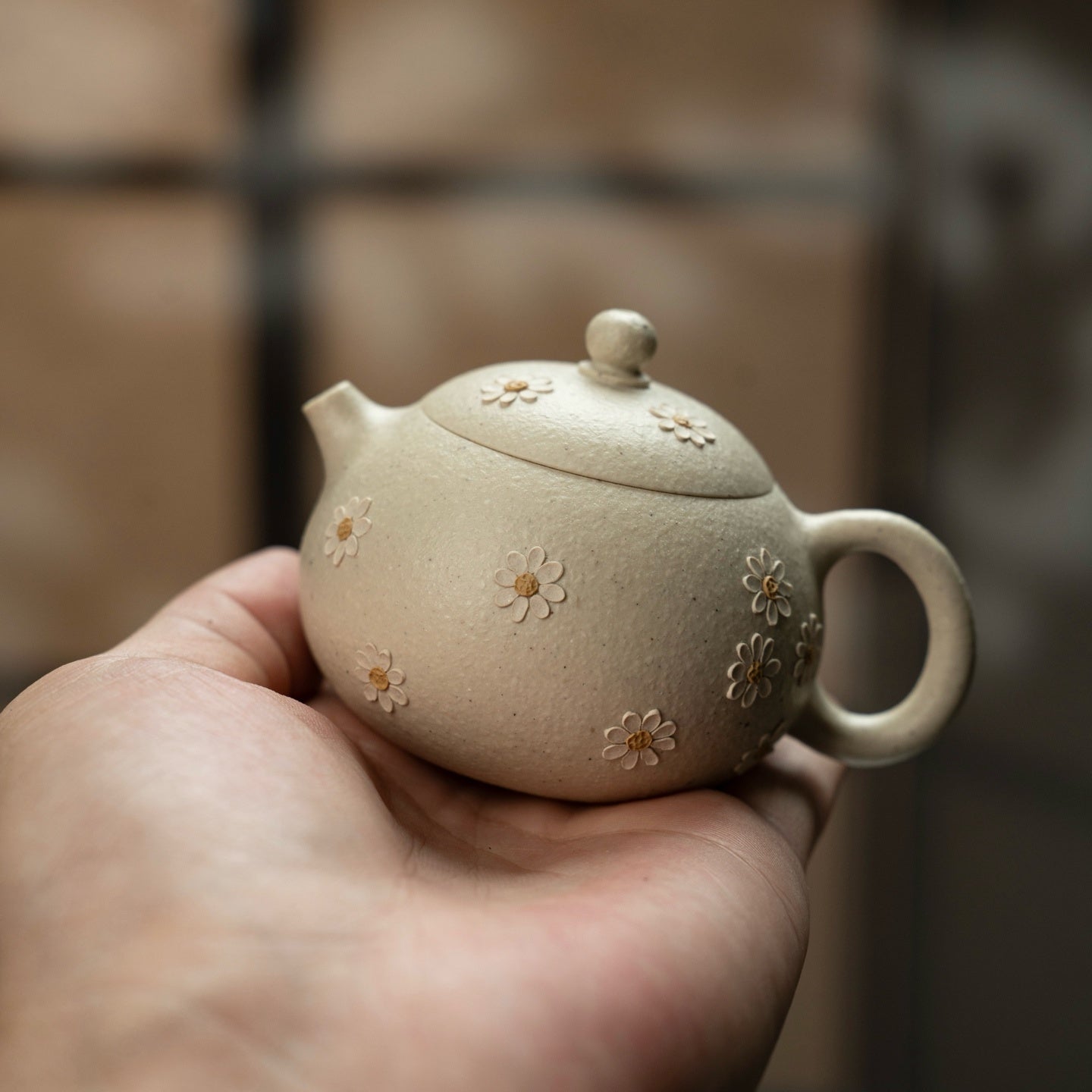 Xi Shi 100cc - Yixing Handmade Teapot 江苏宜兴