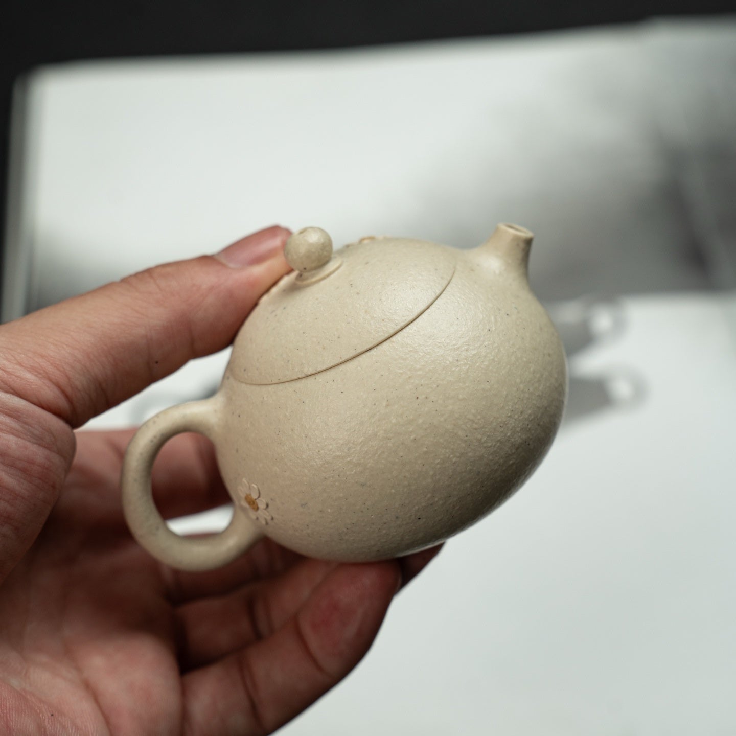Xi Shi 100cc - Yixing Handmade Teapot 江苏宜兴