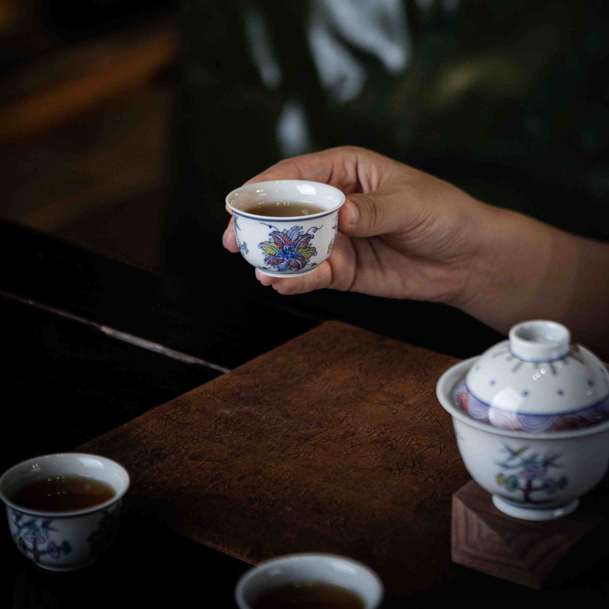 Wu Cai Hua Hui 110cc - Jing De Zhen Porcelain Gaiwan - zycs_China