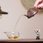 Wu Hu Shang Jiang 200cc - Yixing Handmade Teapot - zycs_China