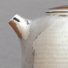 Wu You 200cc - Handmade silver pot - zycs_China