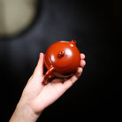 Xi Shi 130cc - Yixing Handmade Teapot - zycs_China