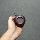Xi Shi 130cc - Yixing Handmade Teapot - zycs_China