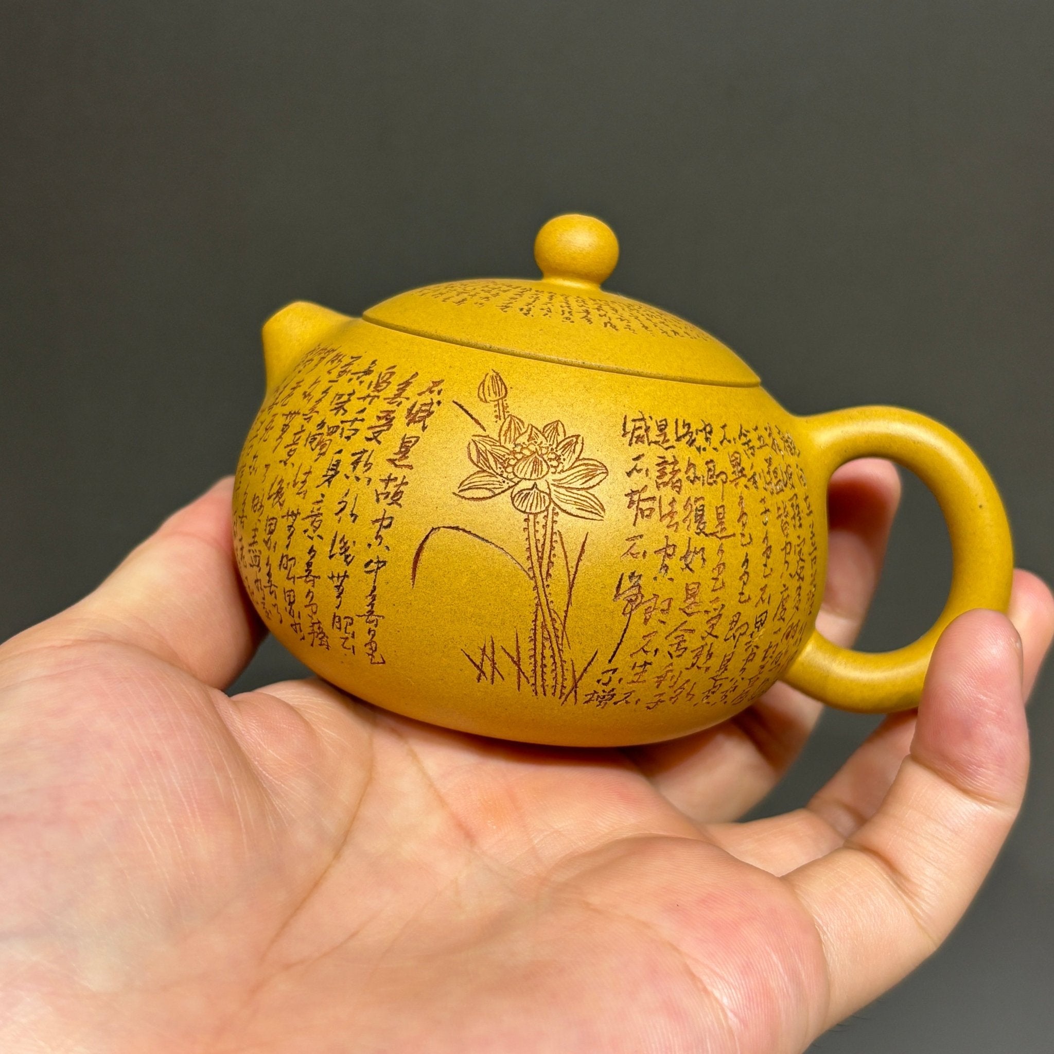Xi Shi 160cc - Yixing Handmade Teapot - zycs_China