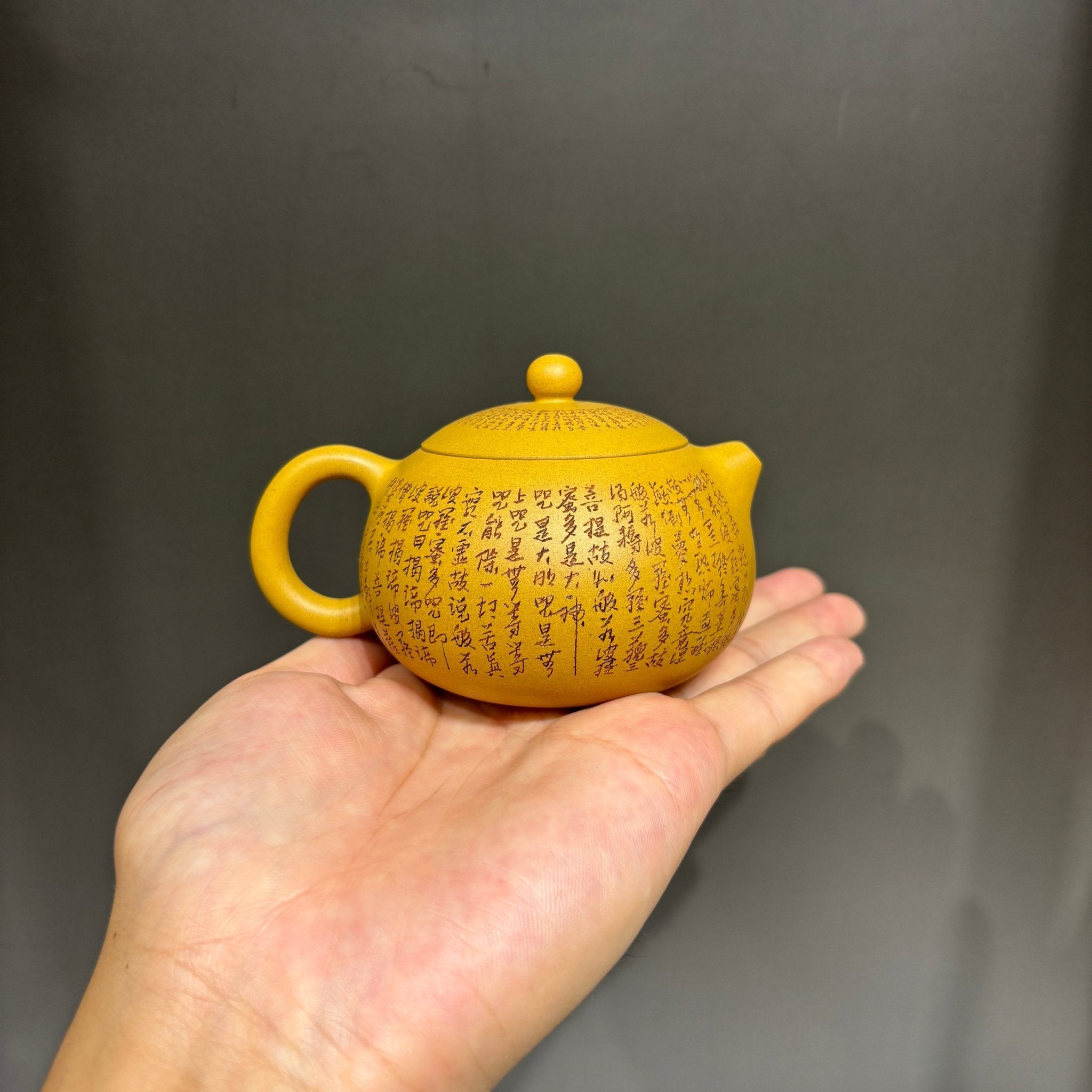 Xi Shi 160cc - Yixing Handmade Teapot - zycs_China