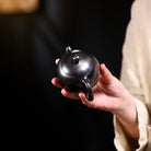 Xi Shi 170cc - Yixing Handmade Teapot - zycs_China