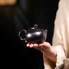 Xi Shi 170cc - Yixing Handmade Teapot - zycs_China