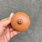 Xi Shi 180cc - Yixing Handmade Teapot - zycs_China - tea - teapot